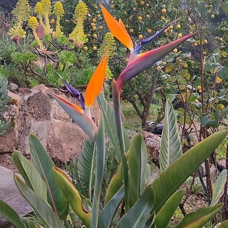 Villa Boheme Costa Brava Calonge  Ngoại thất bức ảnh