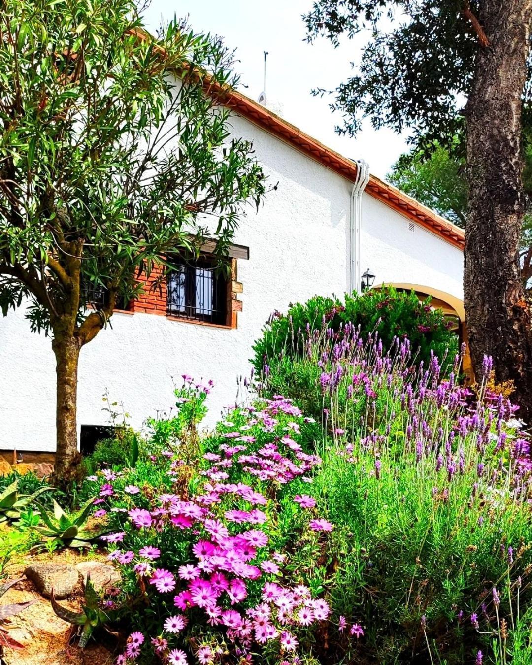 Villa Boheme Costa Brava Calonge  Ngoại thất bức ảnh